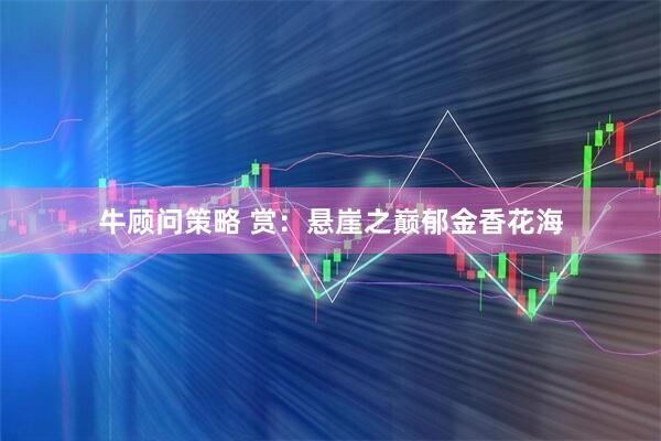 牛顾问策略 赏：悬崖之巅郁金香花海